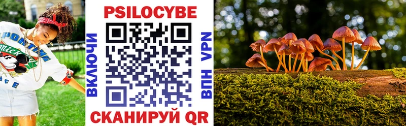 Псилоцибиновые грибы Psilocybe Менделеевск