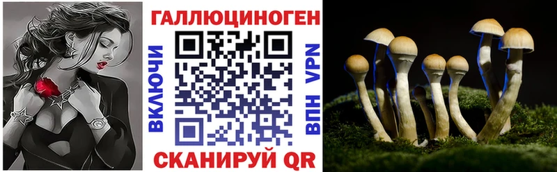 цены Менделеевск Псилоцибиновые грибы мицелий