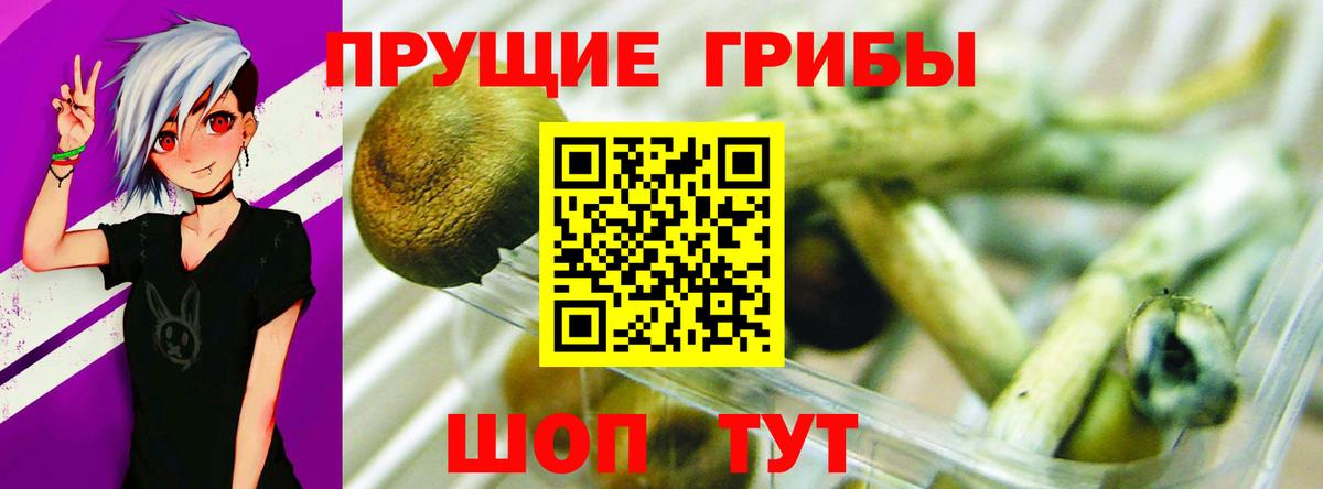 Меф кристаллы  МДМА  Менделеевск  NBOMe  LSD-25  Cocaine  ГАШ  Конопля  Вход с VPN 